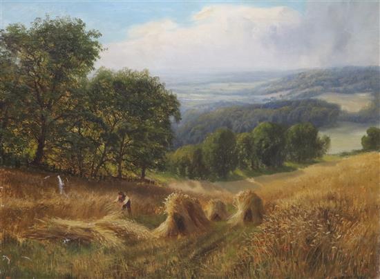 Daniel Sherrin, oil on canvas, harvester in a cornfield, signed, 66 x 87cm